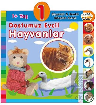 1+ Yaş Dostumuz Evcil Hayvanlar