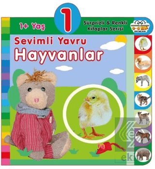 1+ Yaş Sevimli Yavru Hayvanlar