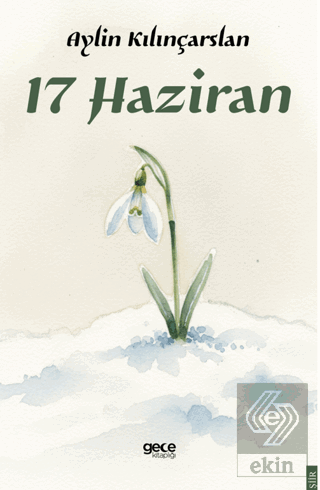 17 Haziran