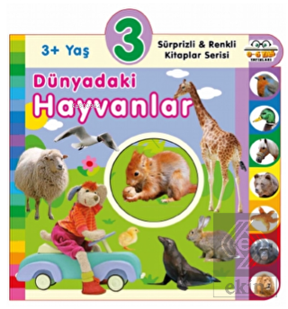 3+ Yaş Dünyadaki Hayvanlar