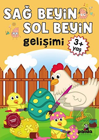 3 Yaş Sağ Beyin-Sol Beyin Gelişimi
