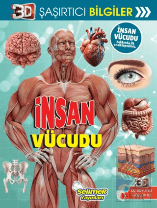 3D Şaşırtıcı Bilgiler - İnsan Vücudu