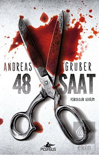 48 Saat