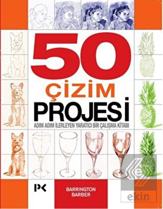 50 Çizim Projesi