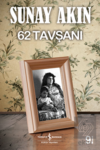 62 Tavşanı