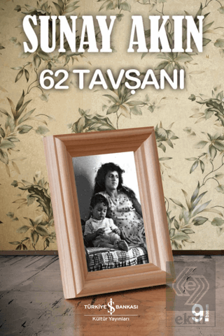 62 Tavşanı