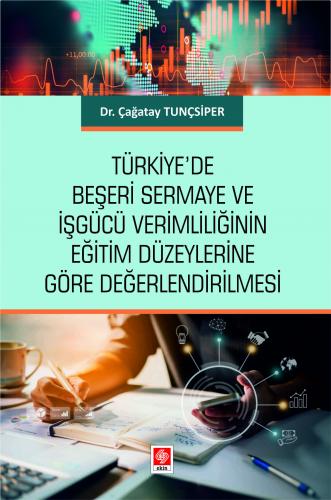 Türkiye'de Beşeri Sermaye ve İşgücü Verimliliğinin Eğitim Düzeylerine 