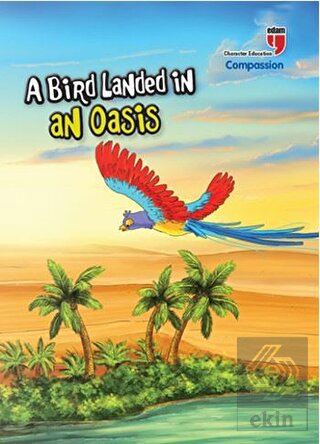 A Bird Landed İn An Oasis - Compassion; Stories Wi