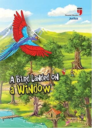 A Bird Landed On a Window