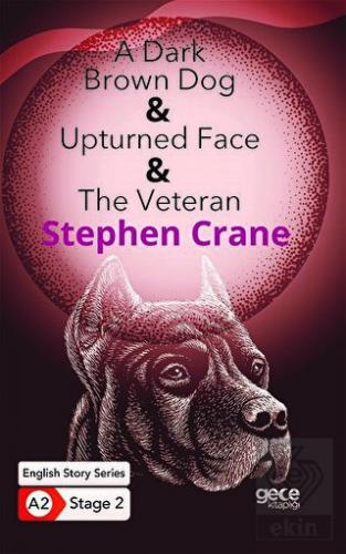 A Dark Brown Dog - Upturned Face - The Veteran - İ