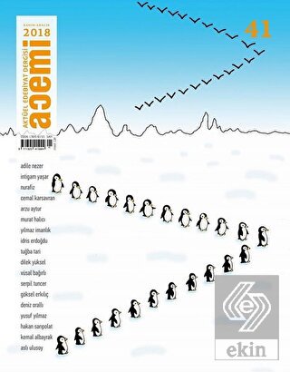 Acemi Aktüel Edebiyat Dergisi Sayı: 41 Kasım - Ara