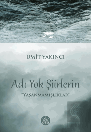 Adı Yok Şiirlerin