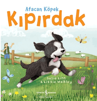 Afacan Köpek Kıpırdak