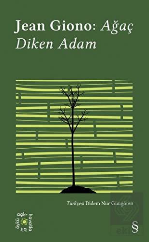 Ağaç Diken Adam - Everest Açıkhava 17