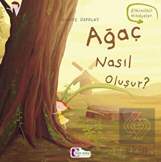 Ağaç nasıl oluşur?