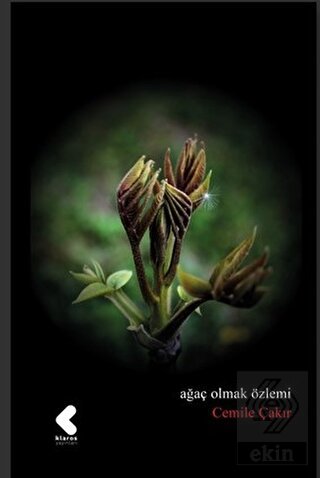 Ağaç Olmak Özlemi