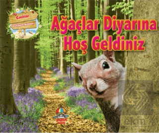 Ağaçlar Diyarına Hoş Geldiniz
