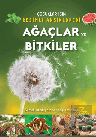 Ağaçlar ve Bitkiler