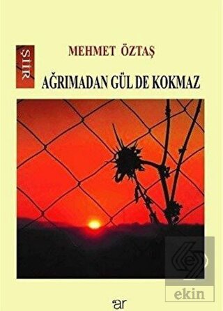 Ağrımadan Gül De Kokmaz