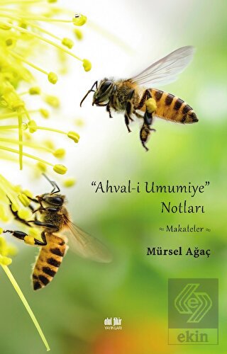 Ahval-i Umumiye Notları