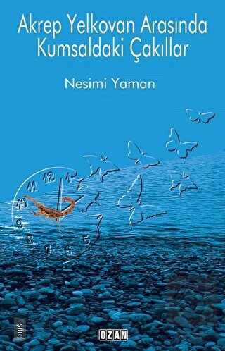 Akrep Yelkovan Arasında Kumsaldaki Çakıllar