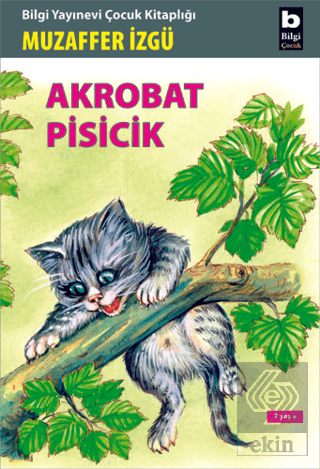 Akrobat Pisicik