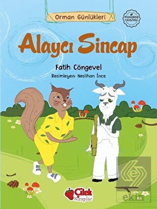 Alaycı Sincap - Orman Günlükleri 10