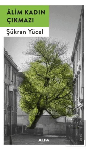 Alim Kadın Çıkmazı