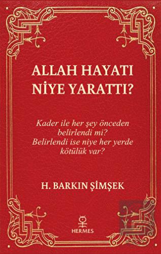 Allah Hayatı Niye Yarattı?
