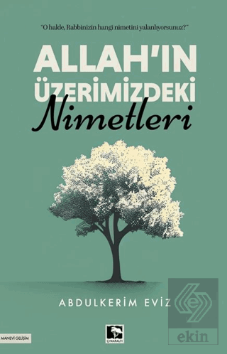 Allahın Üzerimizdeki Nimetleri Abdulkerim Eviz Çınaraltı Yayınları Sat