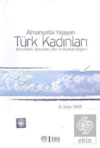 Almanya\'da Yaşayan Türk Kadınları Durumları, Sorun