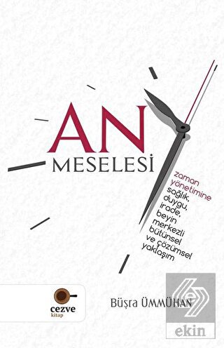 An Meselesi