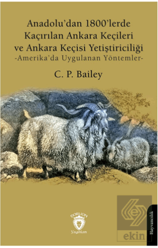 Anadolu'dan 1800'lerde Kaçırılan Ankara Keçileri v