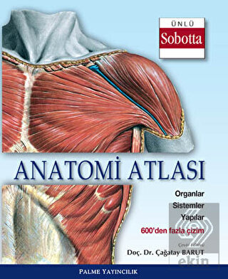 Anatomi Atlası (Sobotta Çizimleri)