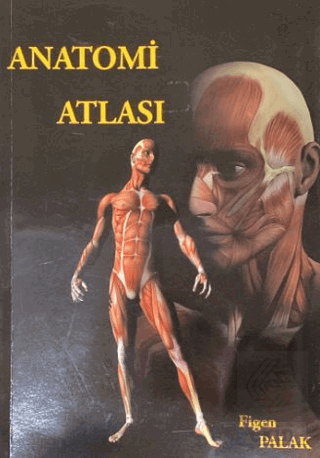 Anatomi Atlası