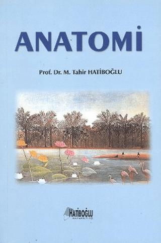 Anatomi Sözlüğü