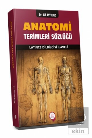 Anatomi Terimleri Sözlüğü