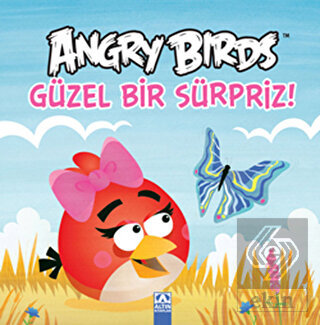 Angry Birds - Güzel Bir Sürpriz!
