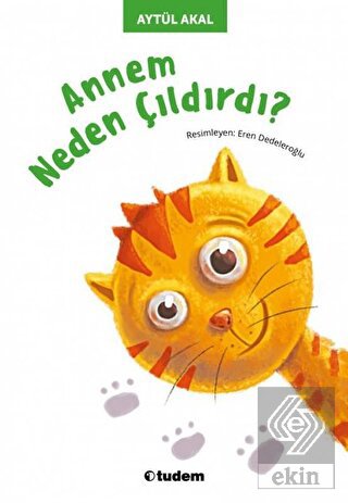 Annem Neden Çıldırdı