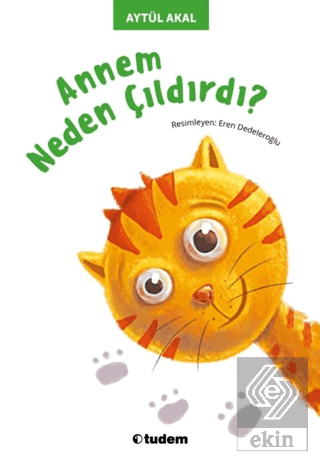 Annem Neden Çıldırdı