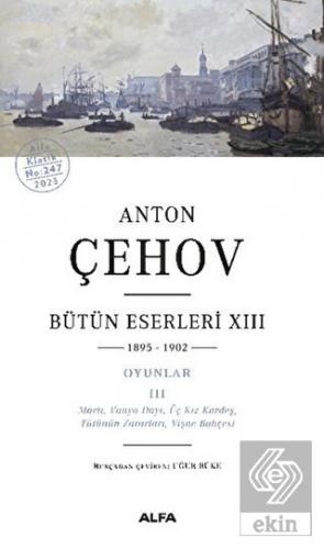 Anton Çehov Bütün Eserleri XIII: 1895-1902