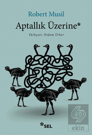Aptallık Üzerine