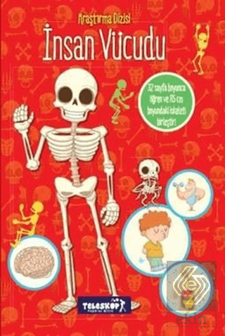 Araştırma Dizisi: İnsan Vücudu