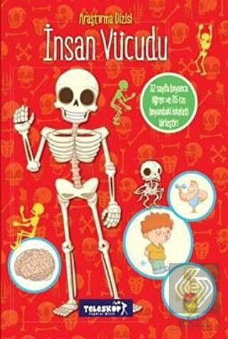 Araştırma Dizisi: İnsan Vücudu