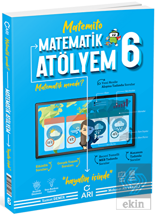 Arı 6 Matemito Matematik Atölyem