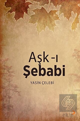 Aşk-ı Şebabi