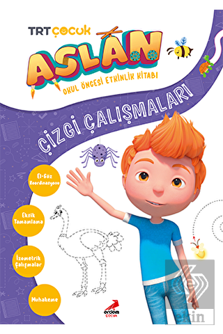 Aslan Çizgi Çalışmaları