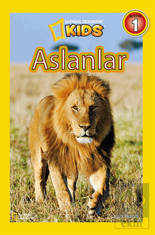 Aslanlar Seviye 1