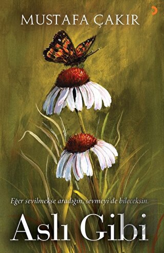 Aslı Gibi