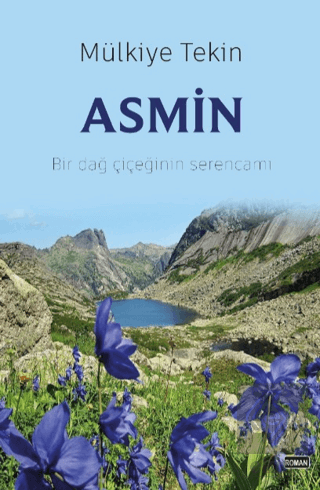 Asmin